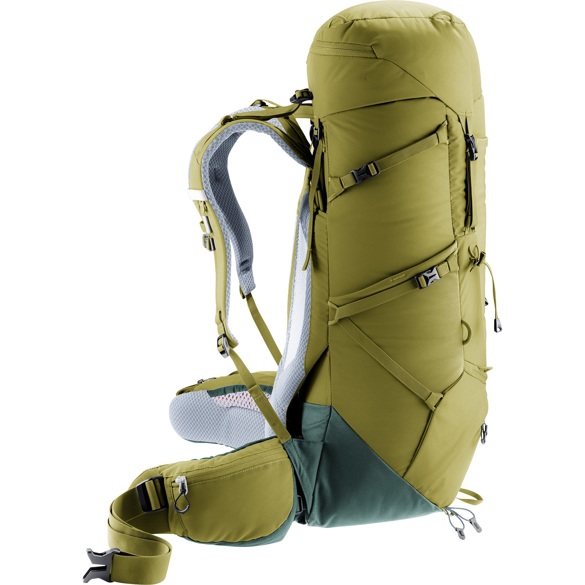 deuter Aircontact Core 40l +10 Trekkingrucksack cactus ivy