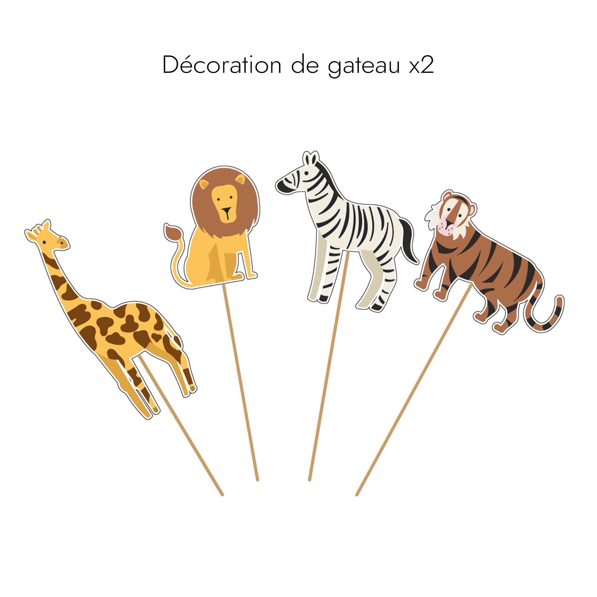 BOITE ANNIVERSAIRE SAVANE 55 PIECES