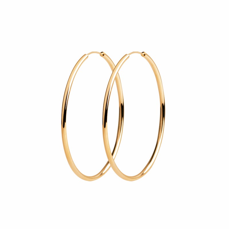Boucles d'oreilles Créoles Tendance Classe Chic Simple Anneaux Plaqué Or