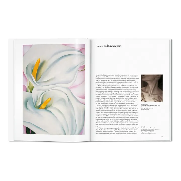 Taschen O'Keeffe