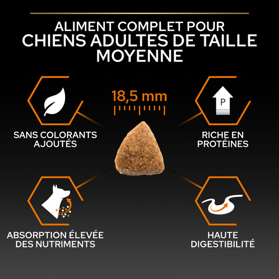 Croquettes chien adulte de grande taille Super Premium - 14 kg