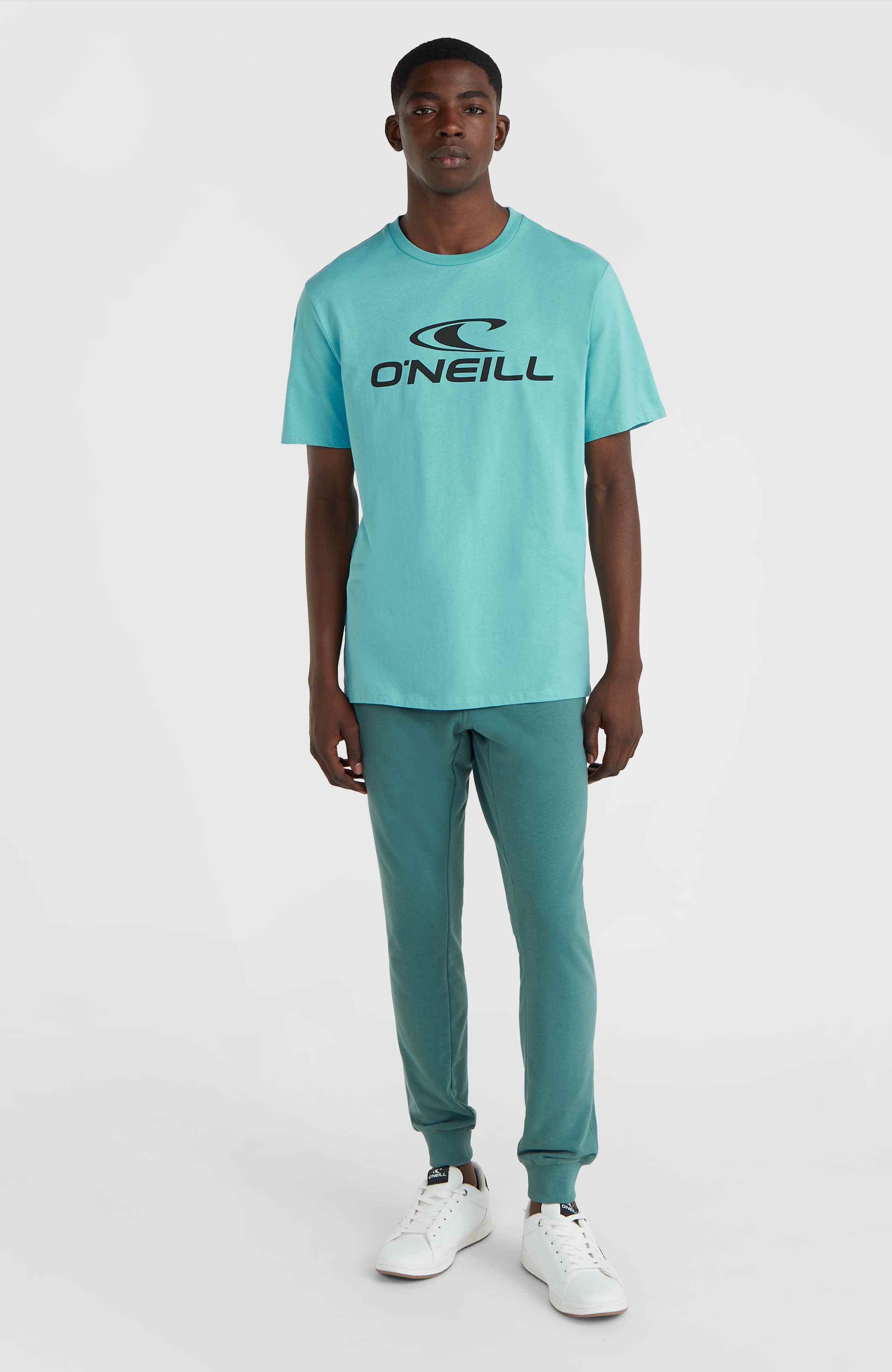 Logo T-shirt O`Neill Turkoois