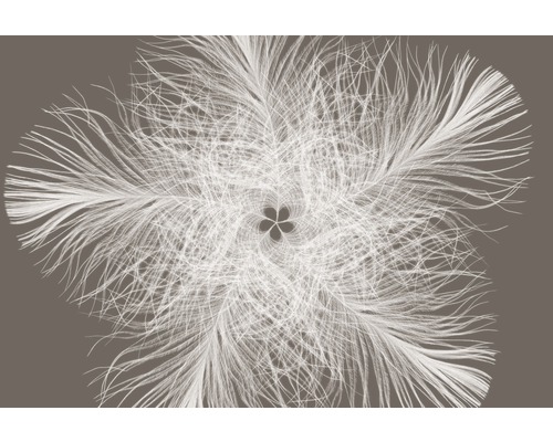 Vliesbehang XXL4-006 Modern Elegance Feather Star 4-delige set 368 x 248 cm