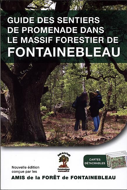 SENTIER FORET DE FONTAINEBLEAU