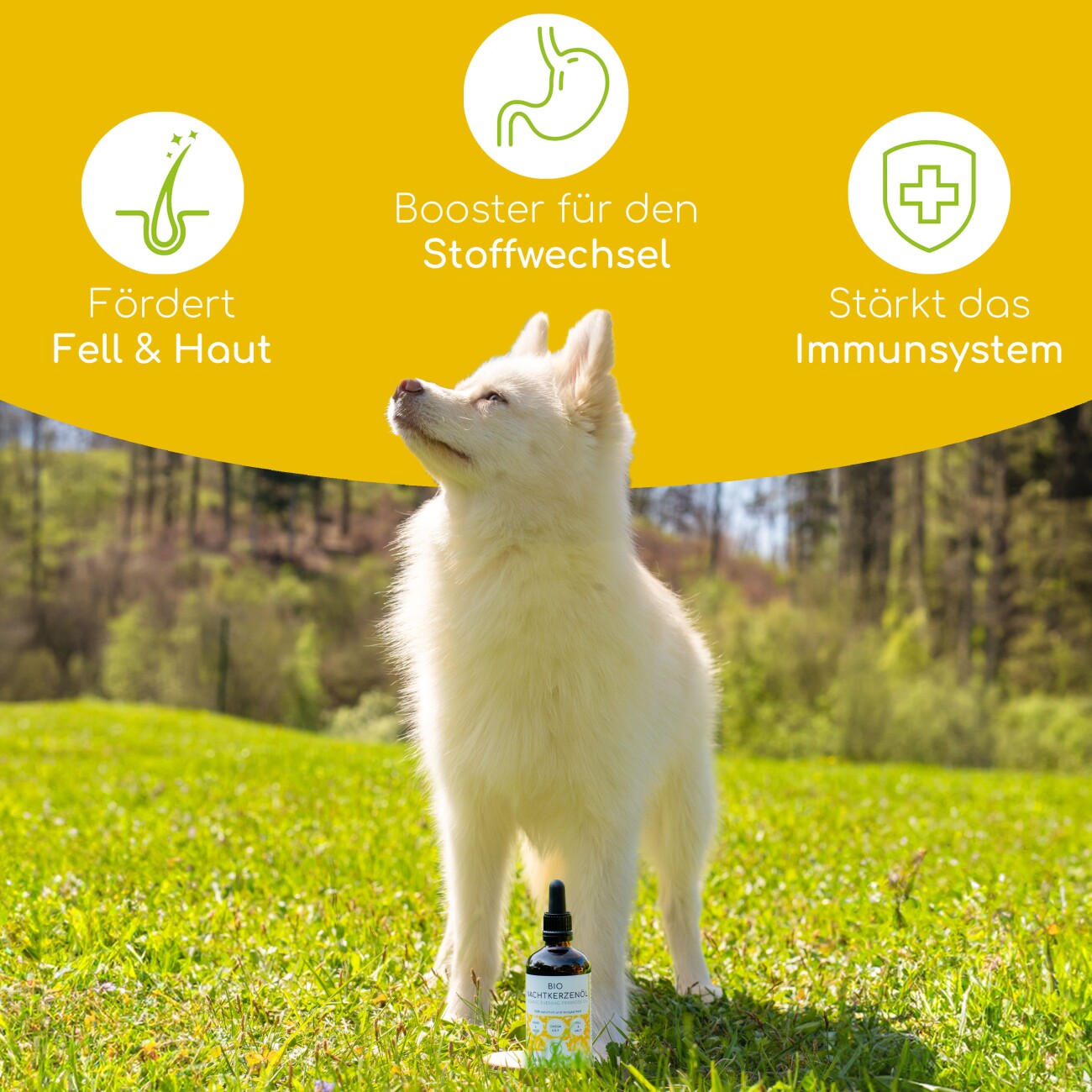 Wolfsbacher Natur Futteröl Set 3 x 100ml