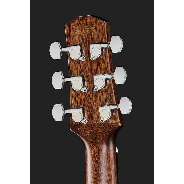 Ibanez AAD170CE-LGS