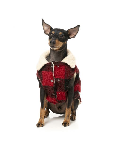 Fuzzyard The Lumberjack Rood&Zwart - Hondenkleding