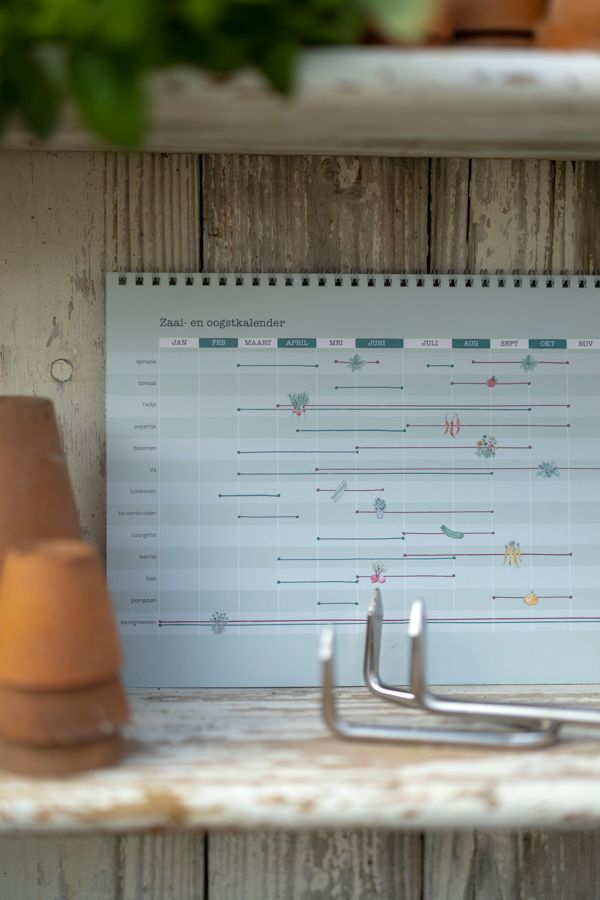 Oogstkalender, Dille & Kamille