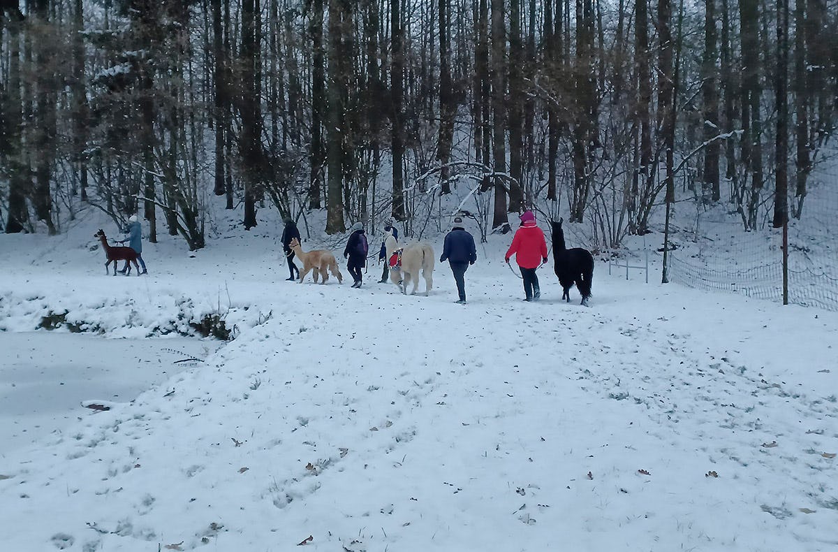 Glühweinwanderung Schönau-Berzdorf