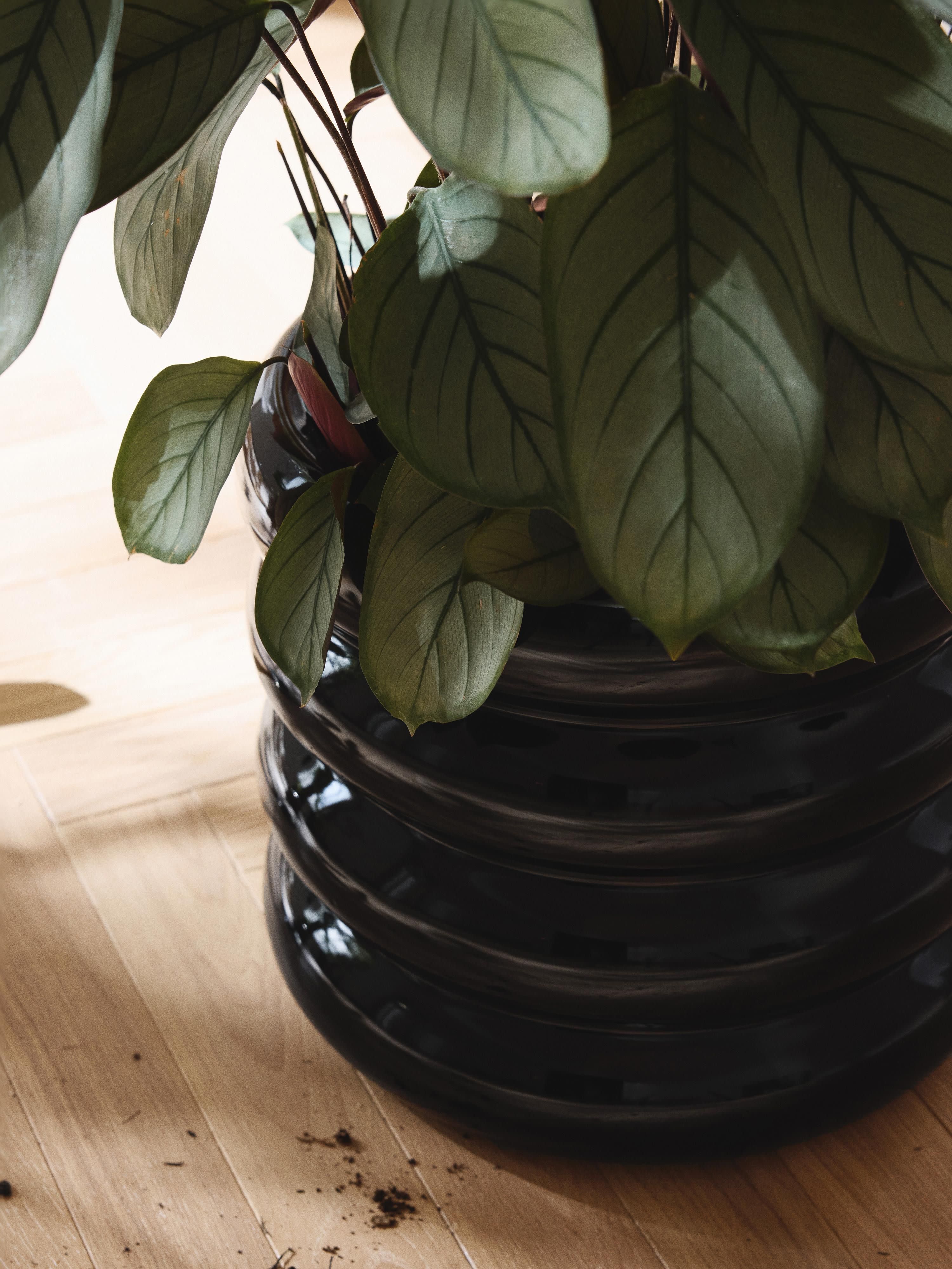 Plantenpot Rudi van keramiek, H 30 cm