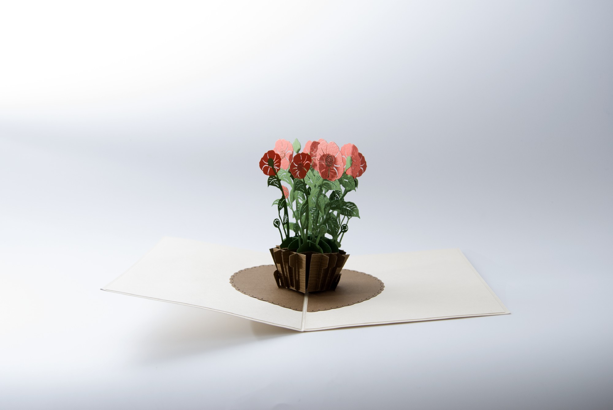 Pop-Up Karte 'Mohnblume', rot, L 18 cm, B 13 cm günstig bestellen