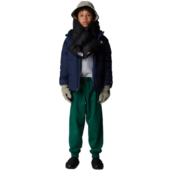 Doudoune THE NORTH FACE B NORTH DOWN HOODED JACKET SUMMIT NAVY