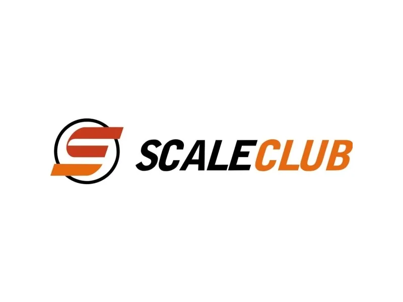 ScaleClub 55029 1:14 Elektronik RC-modellastbil ARR