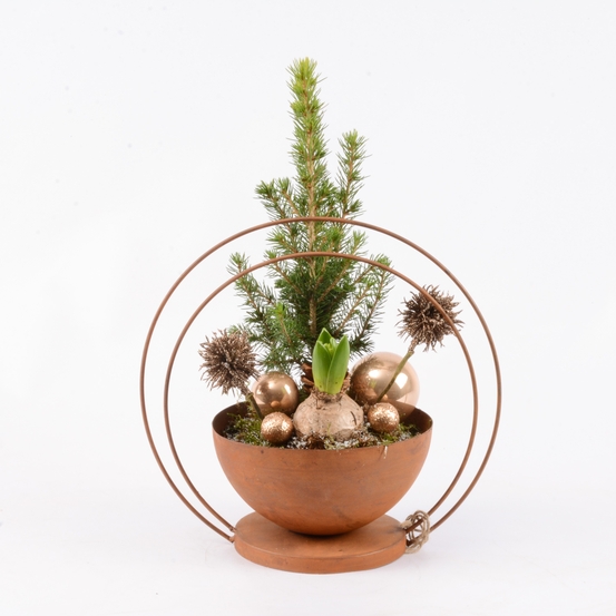 Jacinthe et Picéa - pot en cuivre D26