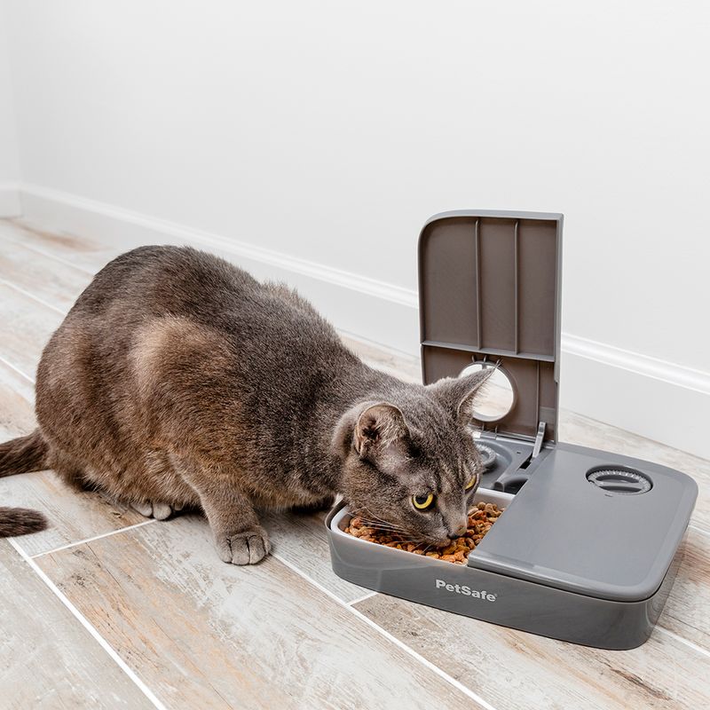 PetSafe Distributeur automatique de nourriture 2 repas