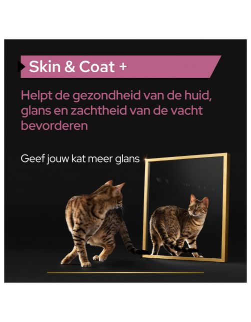 Pro Plan Kat Skin&Coat Supplement Olie - Voedingssupplement - 150 ml