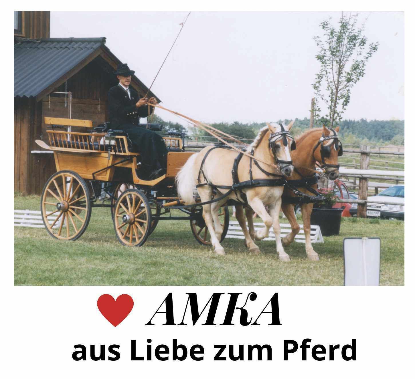 AMKA Bogenpeitsche