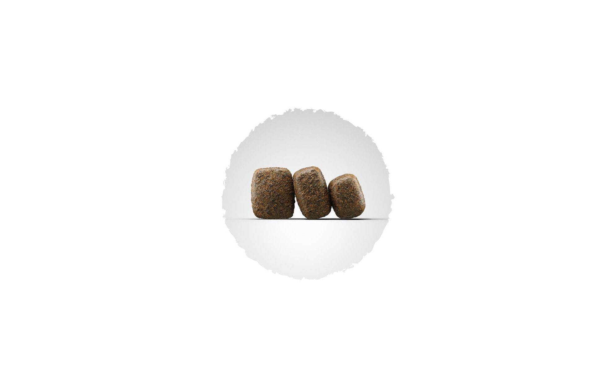 Trockenfutter Special SensiAdult, 12.5 kgAlleinfuttermittel für ausgewachsene Hunde