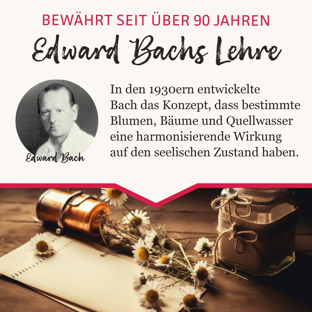 MURNAUERS Bachblüten Gute Energie Tropfen