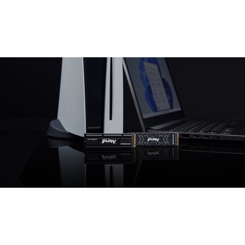 Kingston Technology 1000G RENEGADE PCIe 4.0 NVMe SSD W/ Radiateur de dissipation thermique