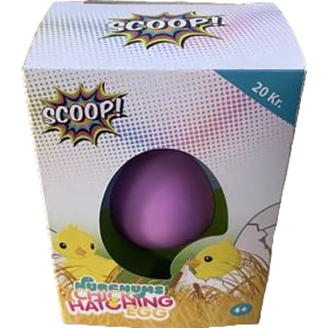 Scoop Nurchums Chick Hatching Eggs Small