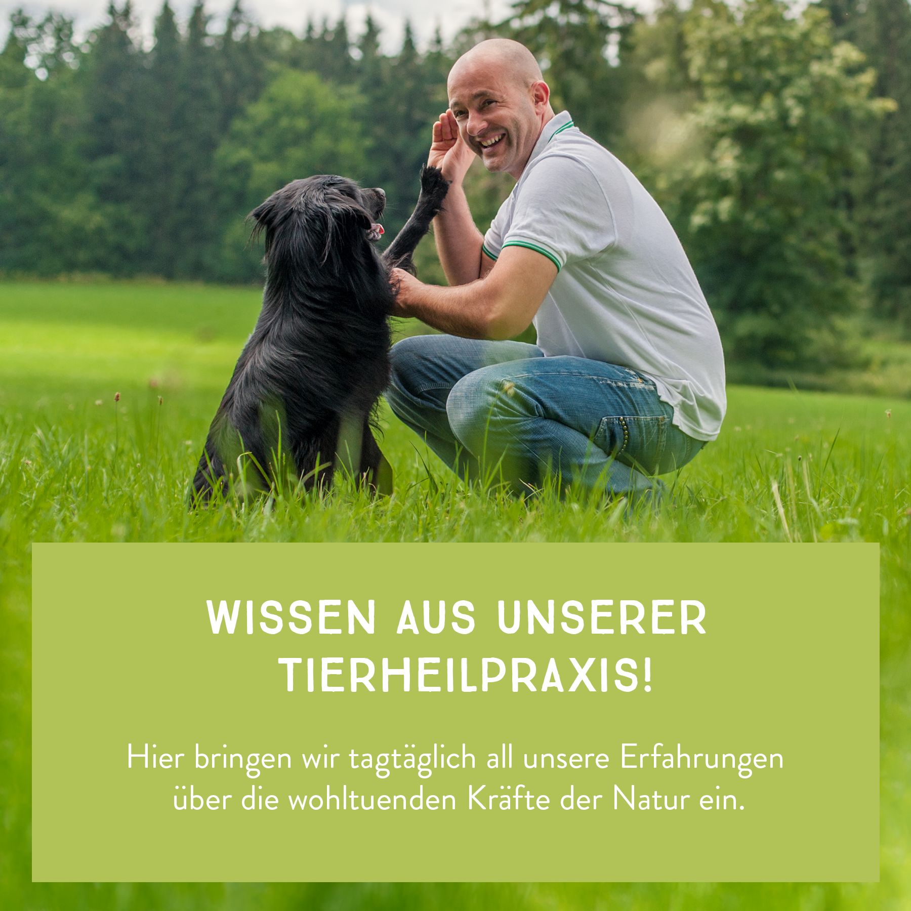 AniCanis PROPOLIBALM Propolis Pflegebalsam für Hunde