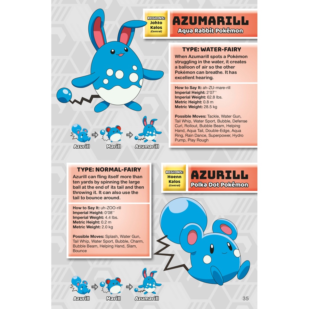 Pokémon: Super Extra Deluxe Handbuch