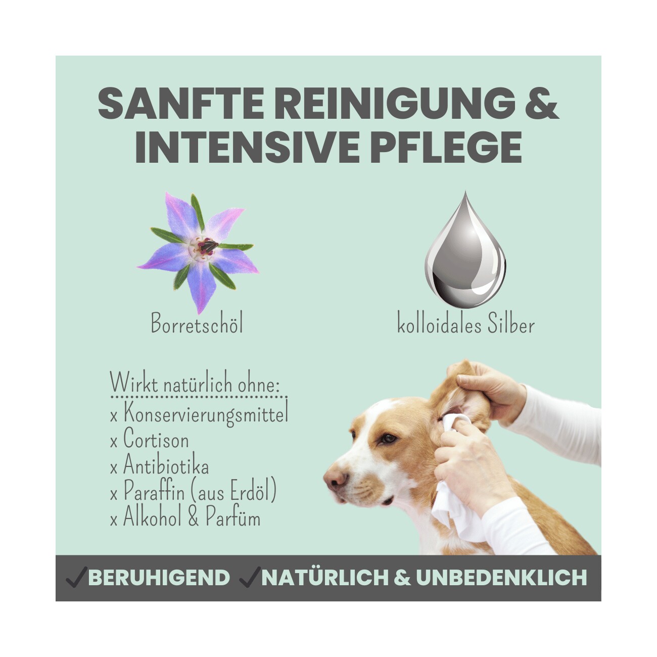 noms+ 2-in-1 Ohrfein Reinigung & Pflege für Hunde & Katzen 50ml