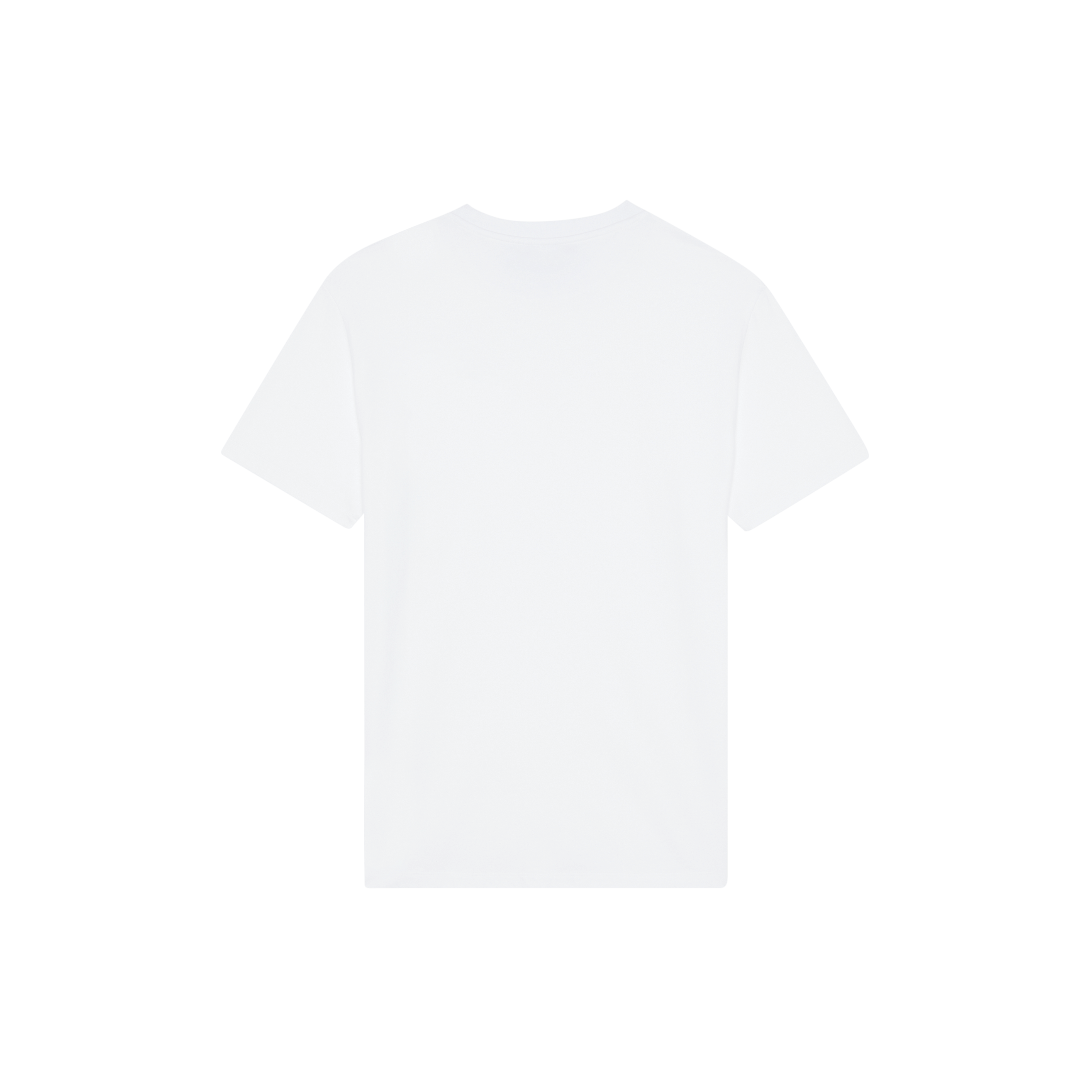 T-shirt en coton organique homme Tortue brodée
