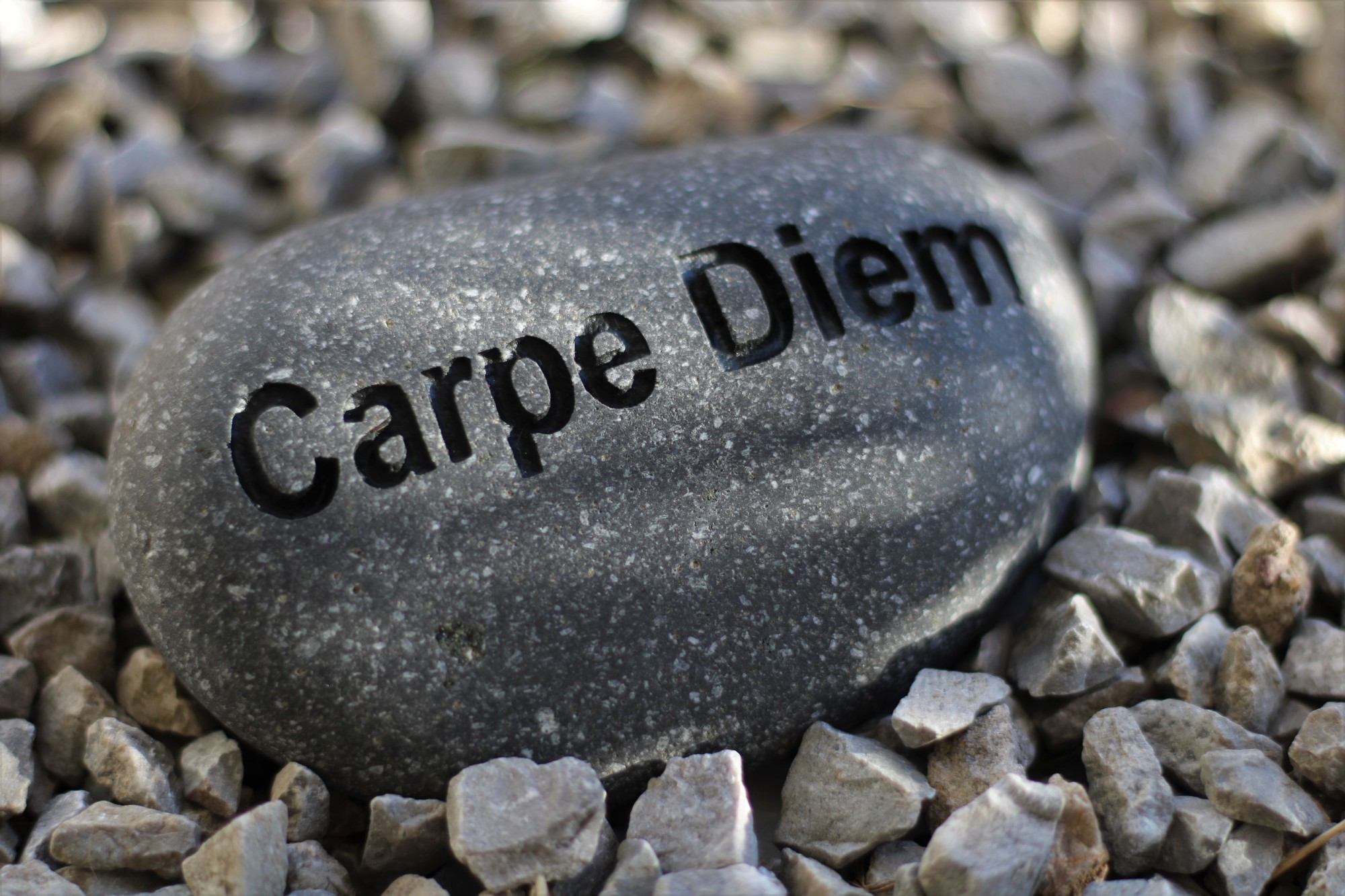Flusskiesel 'Carpe Diem', B 10-11 cm, H 3 cm von fischer's lagerhaus