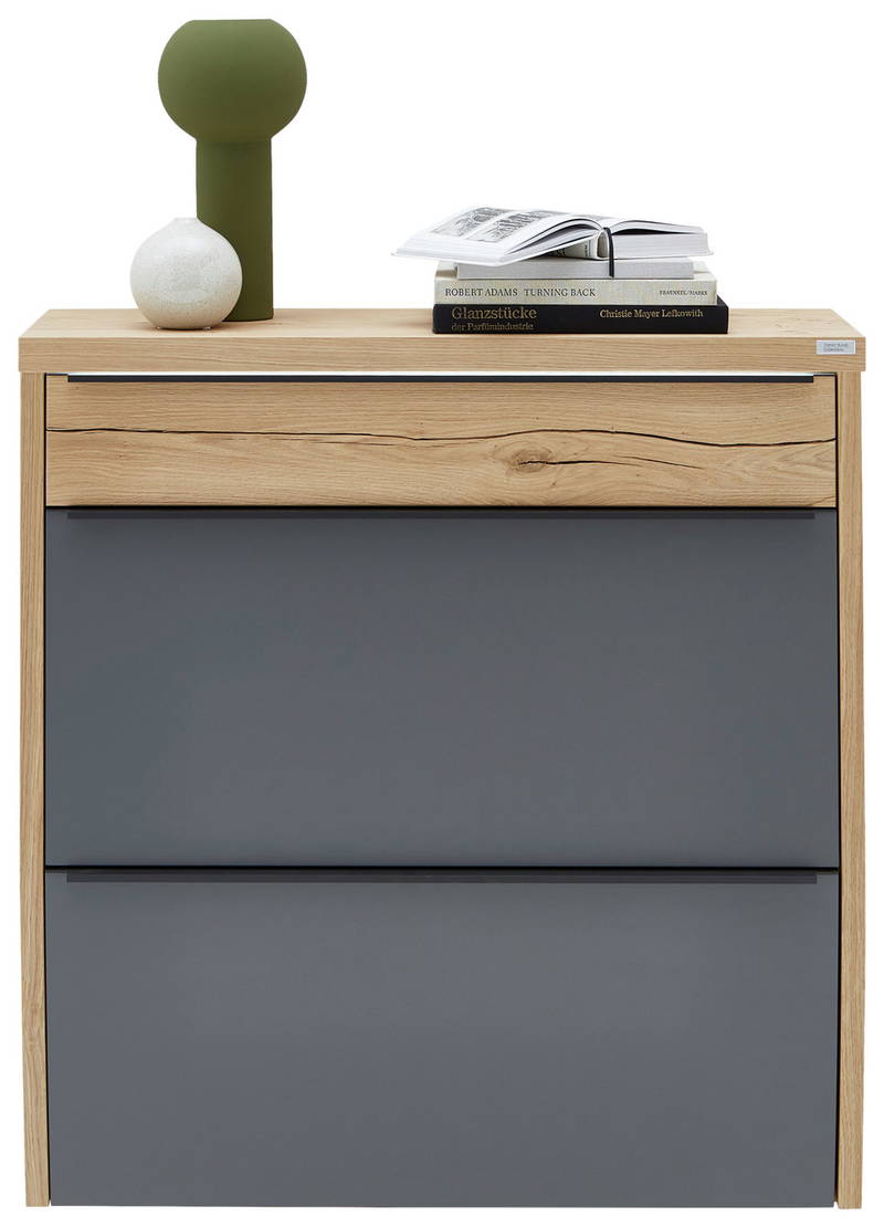 Dieter Knoll Hängeschuhschrank ARCO TREND