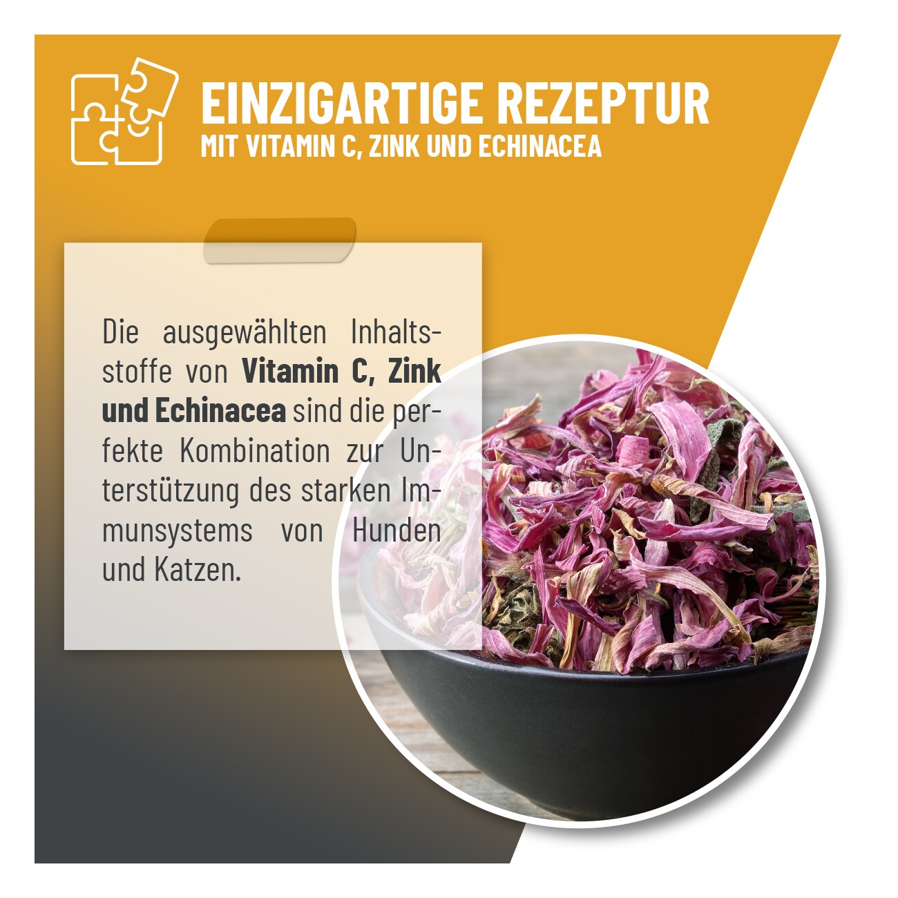 REAVET Immun Aufbau Tropfen 100ml
