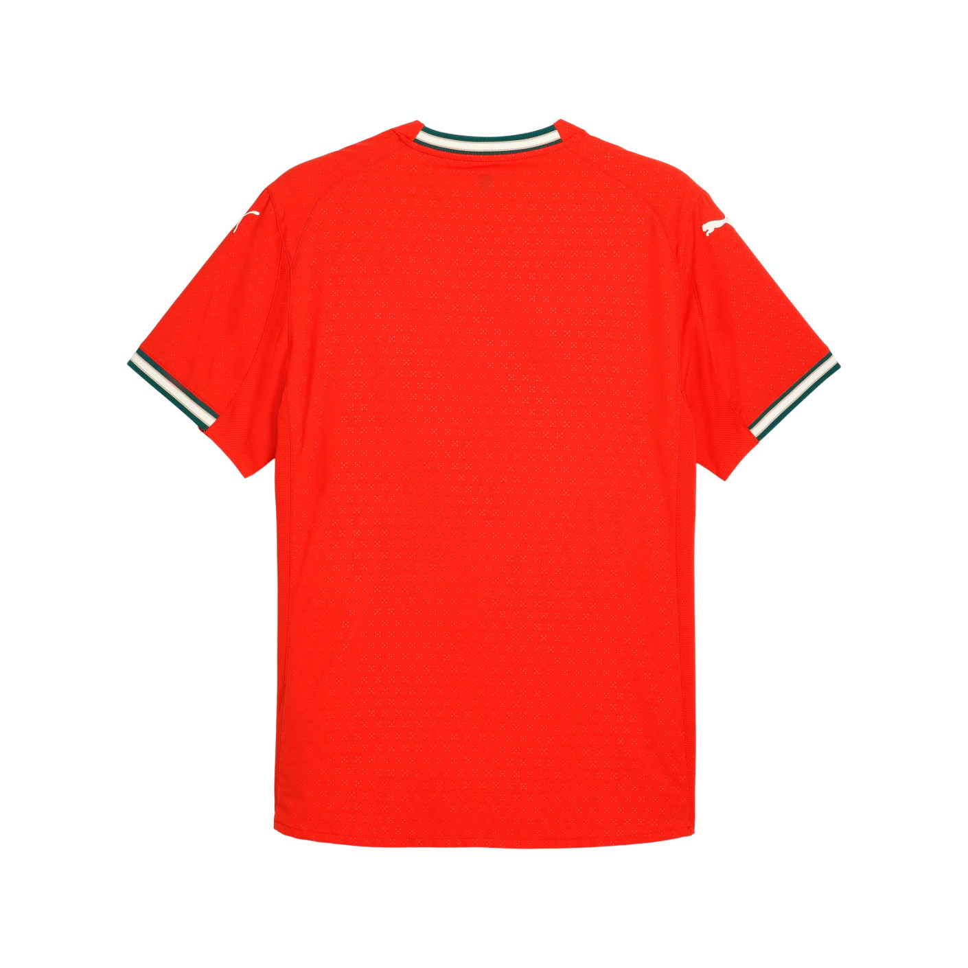 PUMA Portugal Thuisshirt Authentic 2025-2026