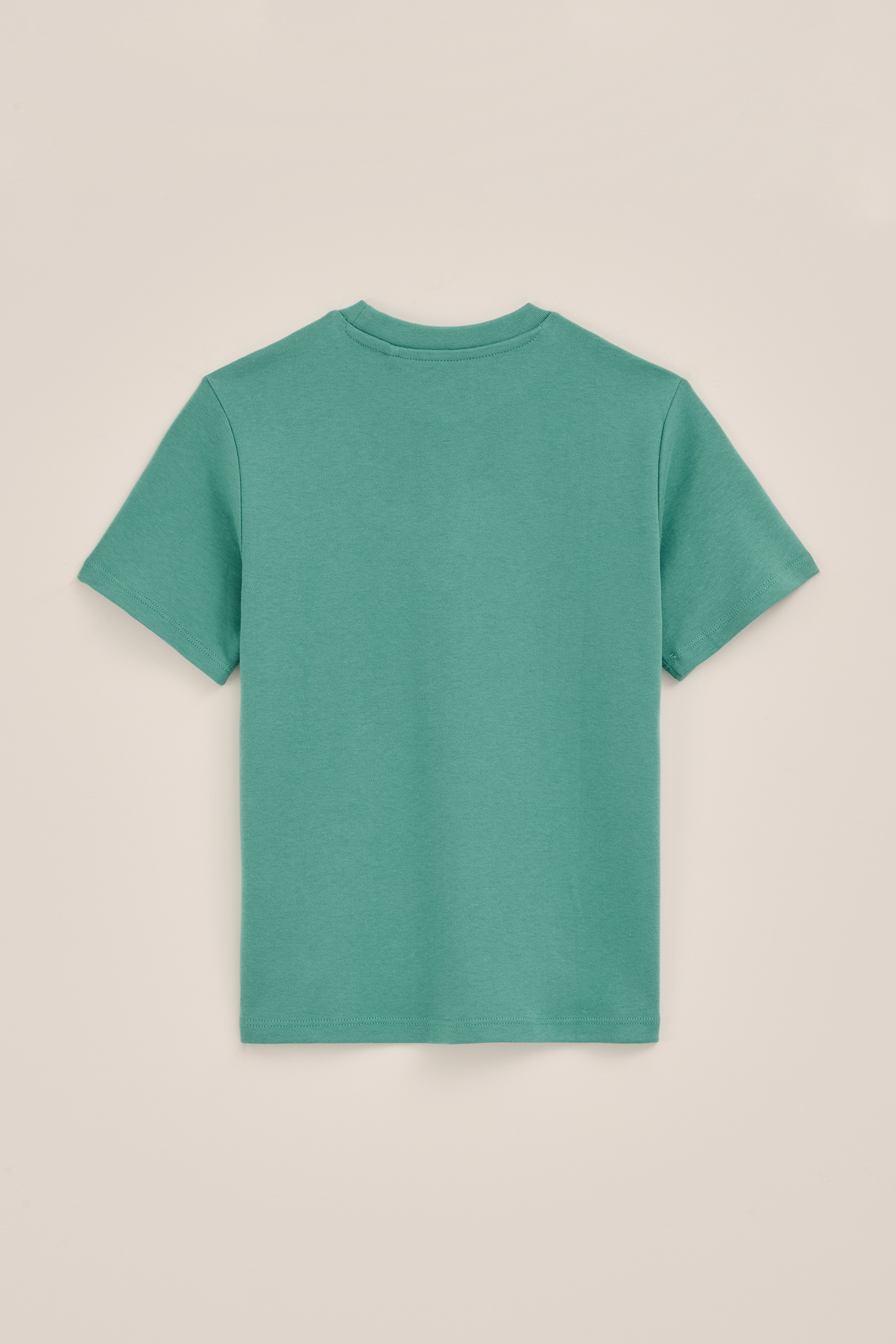 Jongens T-shirt WE Fashion Zeegroen