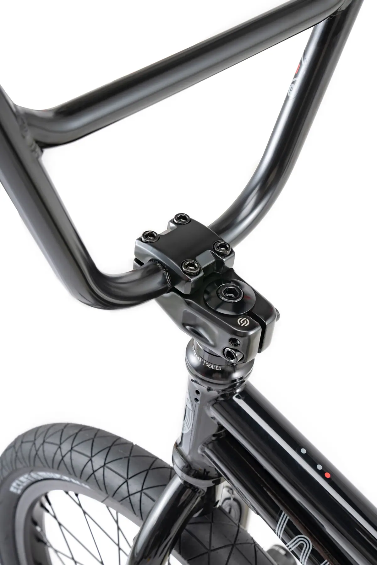 Wethepeople Sinus 20