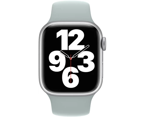 Apple 45mm Succulent Sport Band