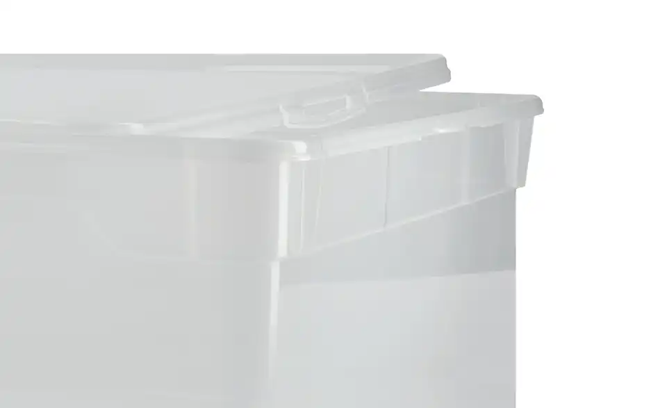Rotho Aufbewahrungsbox mit Deckel 40 cm