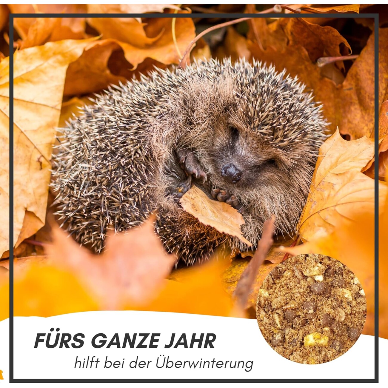 Supravit Igelfutter mit Insekten - Artgerechtes Igel Futter mit Mehlwürmer, Krebstiere, Früchte & Gemüse - Abgestimmt auf die speziellen Ernährungsbedürfnisse 1 kg