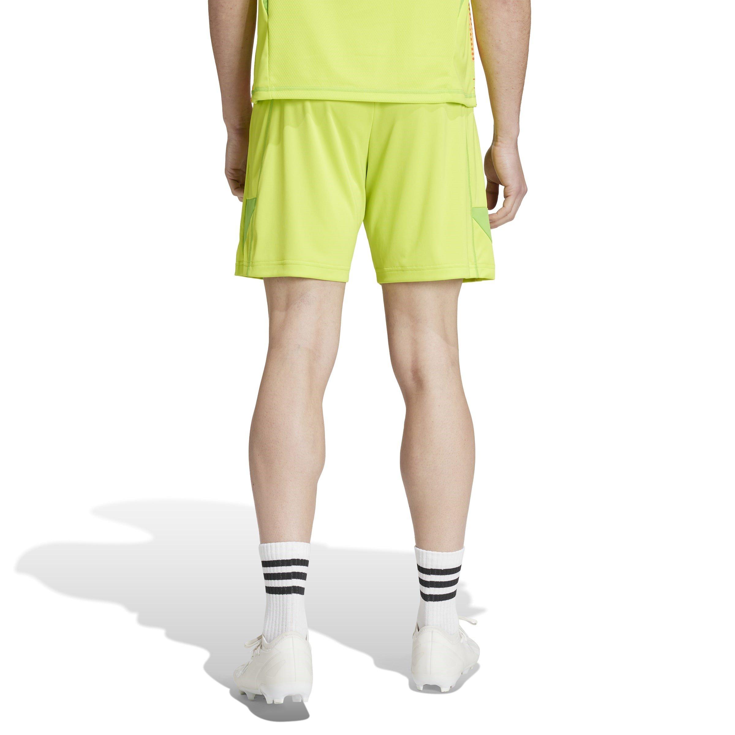 adidas Arsenal Goalkeeper Shorts 2024 2025 Adults