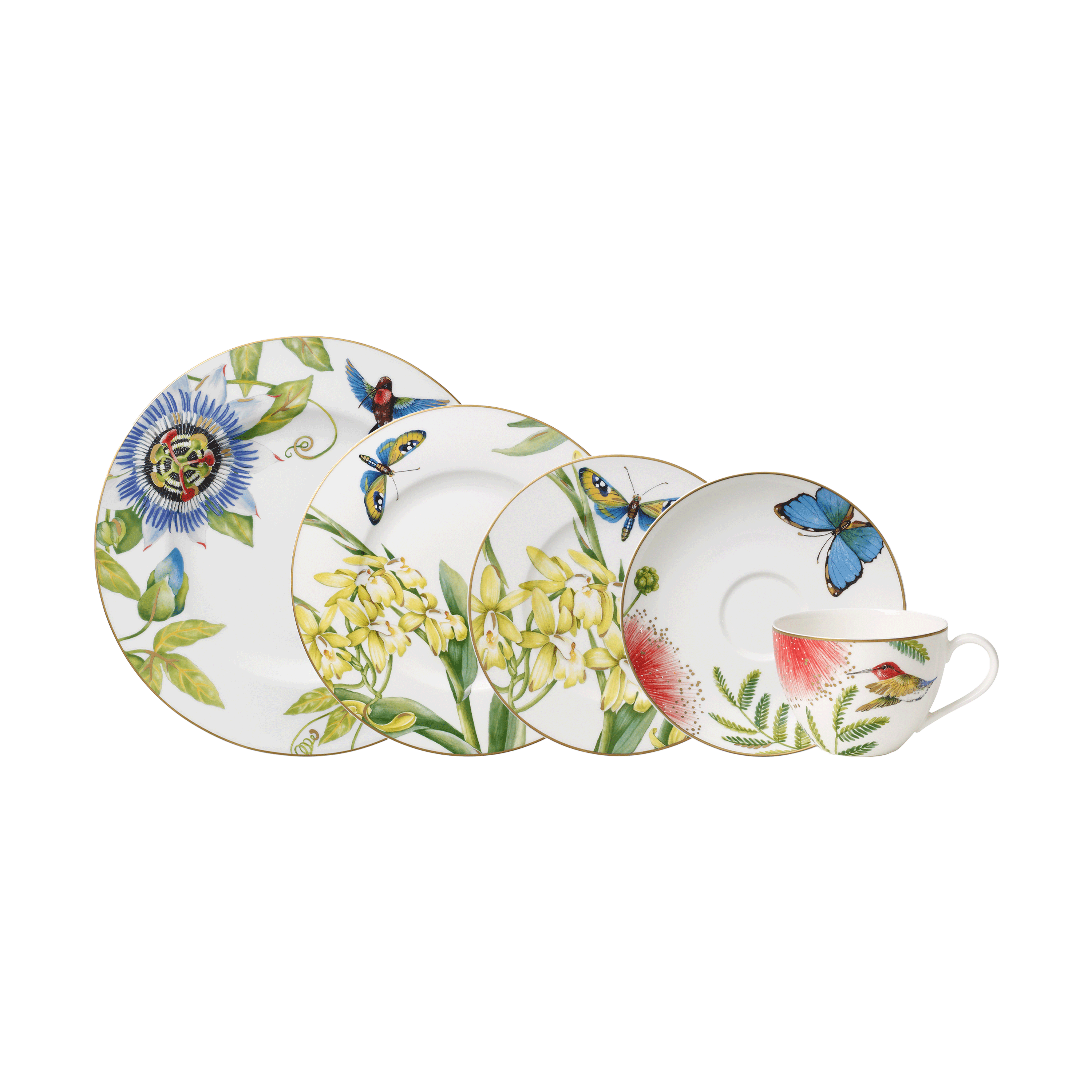 Amazonia Starter set Multi-colored, Premium Bone Porcelain