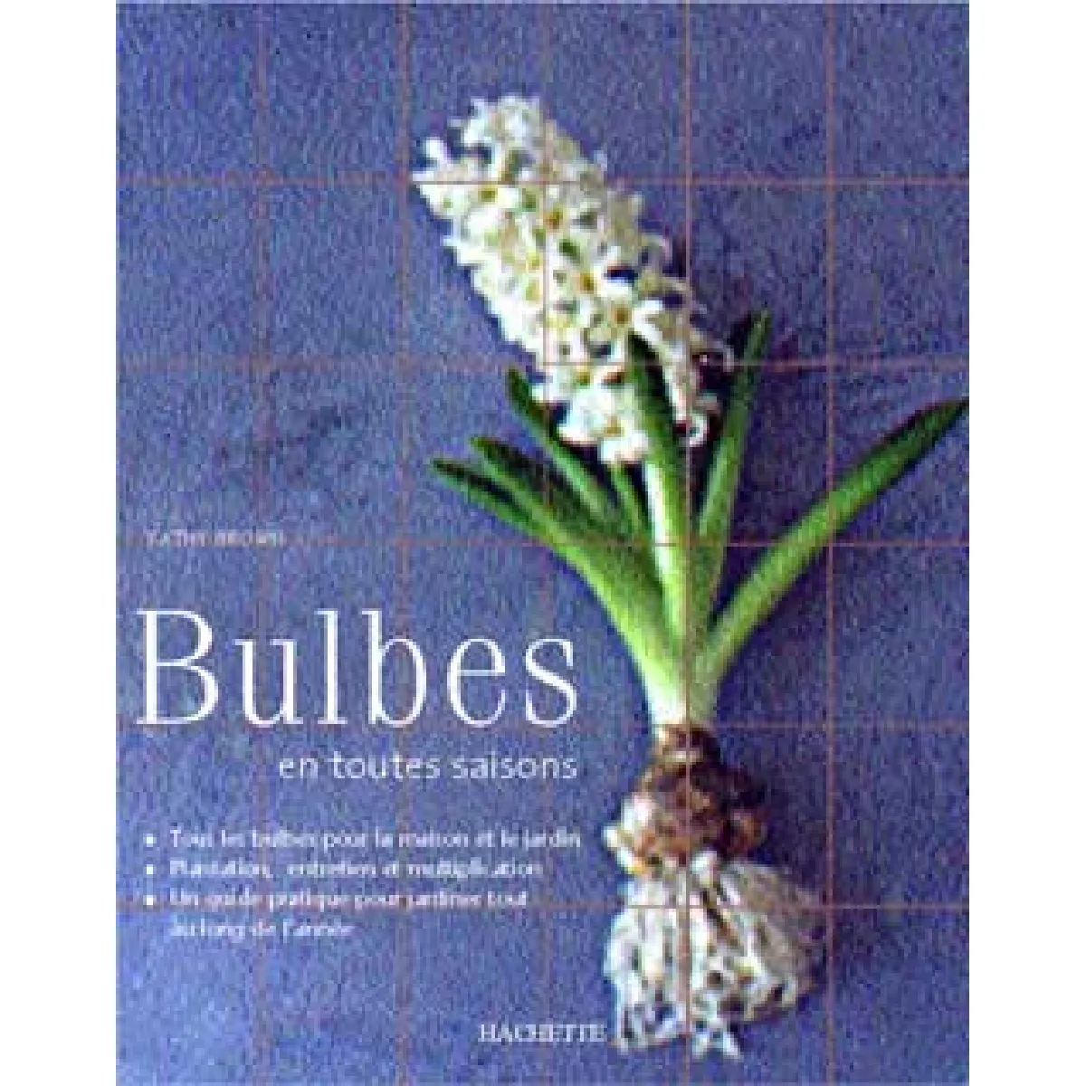 Bulbes en toutes saisons · Occasion
