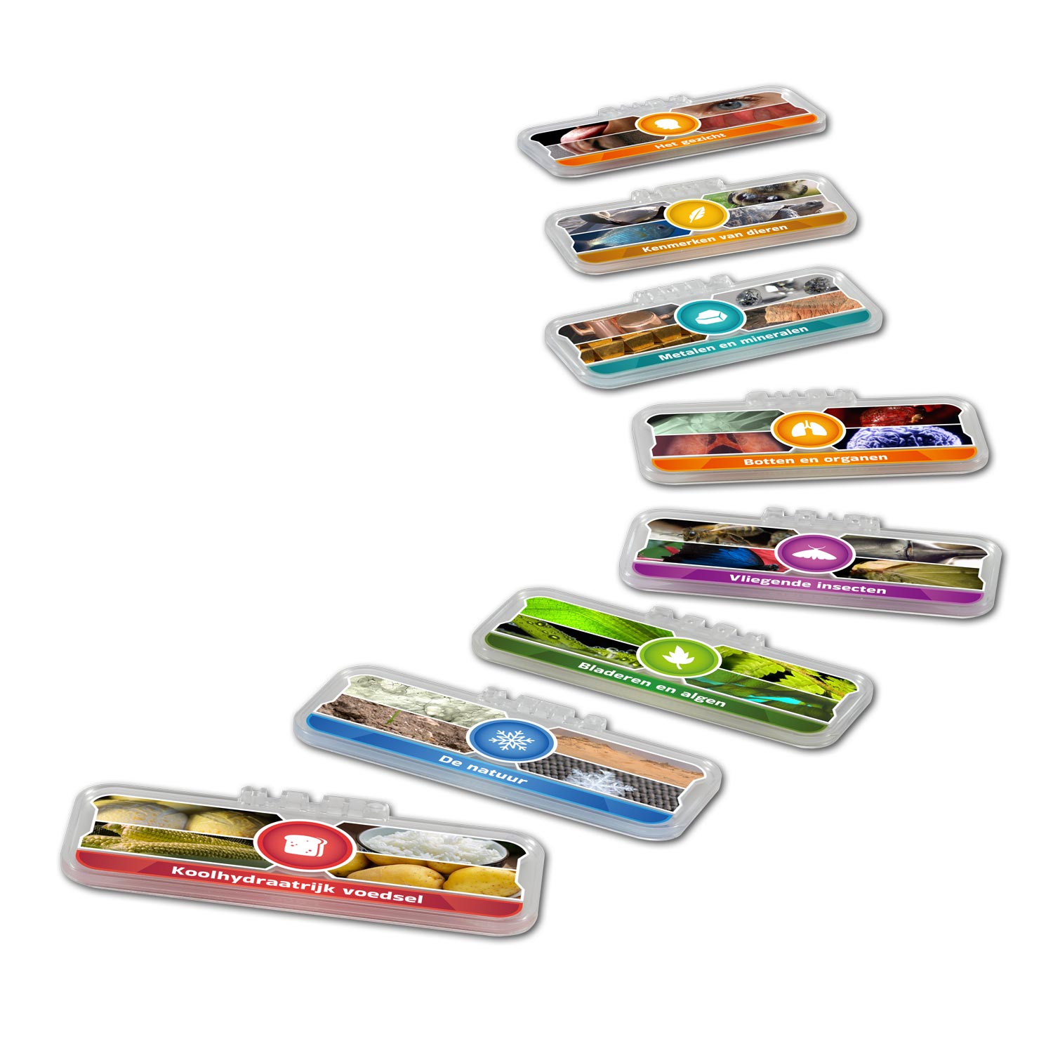 VTech Mijn Interactieve Video Microscoop