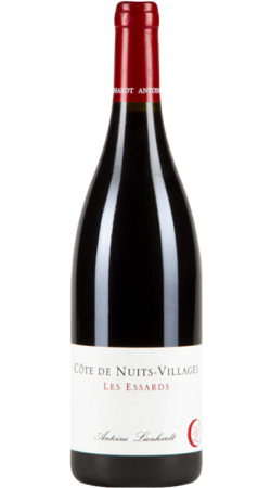 Domaine Antoine Lienhardt Côte de Nuits Village Rouge Les Essards