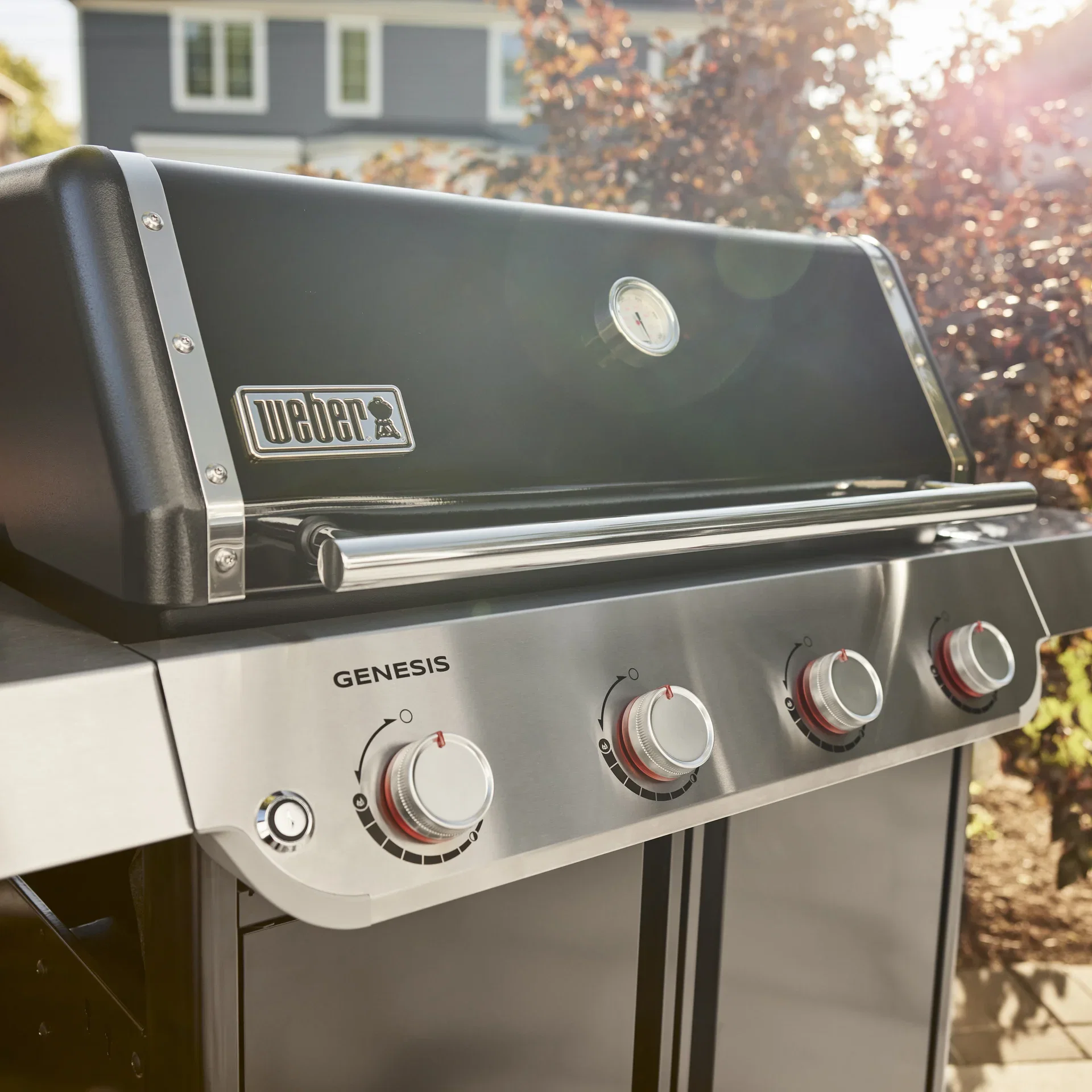 Weber Gassgrill Genesis E-415
