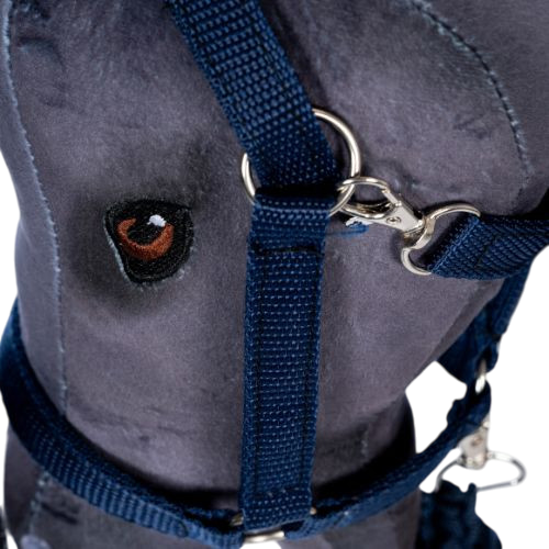 Steckenpferd Halfter und Führstrick Blue