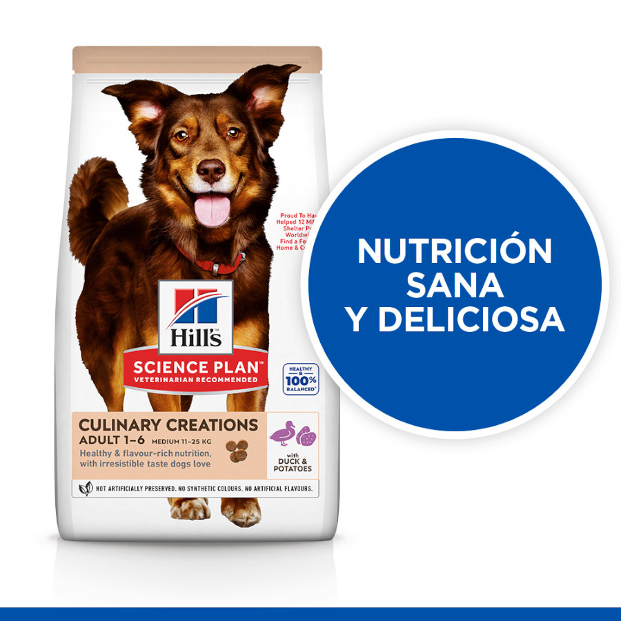 Ração Hill's Science Plan Culinary Creations sabor Pato e Batata para cães de porte médio.