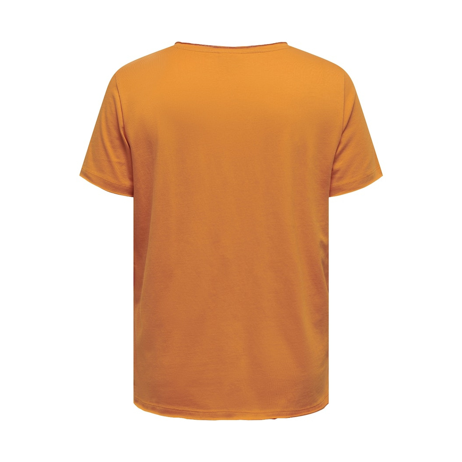 Carmakoma CARQUOTE LIFE SS V-NECK REG TE