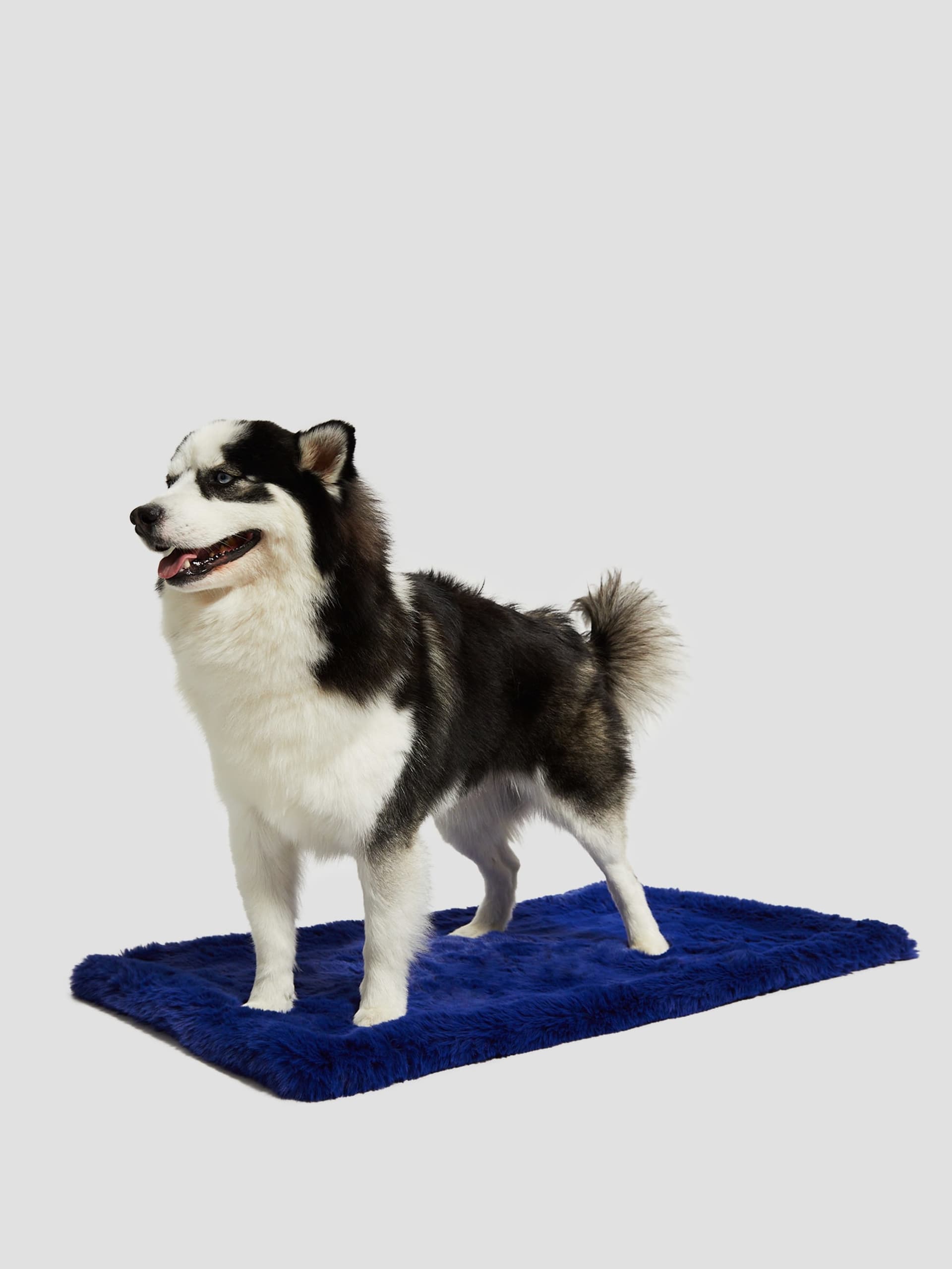 Tapete para animais de estimação em pele sintética