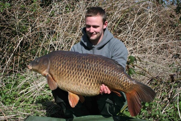 Émerillons Flexi-Ring Swivel Korda taille 11 (8 pièces)