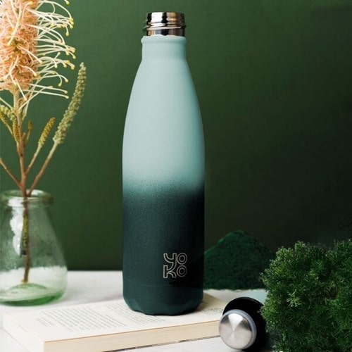 Bouteille iso sorbet spiruline 500ml